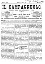 giornale/CFI0410131/1884/unico/00000045