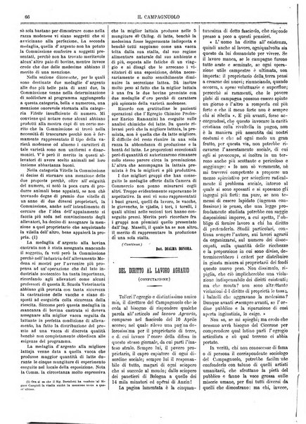 Il campagnuolo giornale di agricoltura pratica