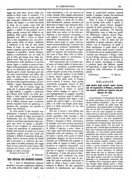 Il campagnuolo giornale di agricoltura pratica