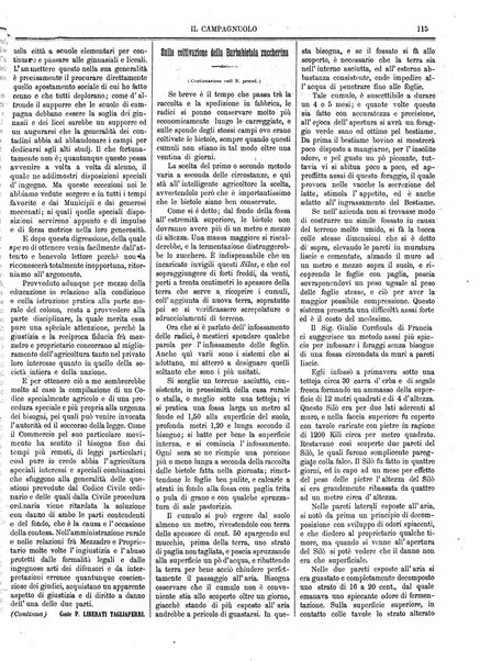 Il campagnuolo giornale di agricoltura pratica