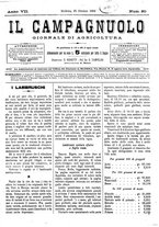 giornale/CFI0410131/1884/unico/00000157