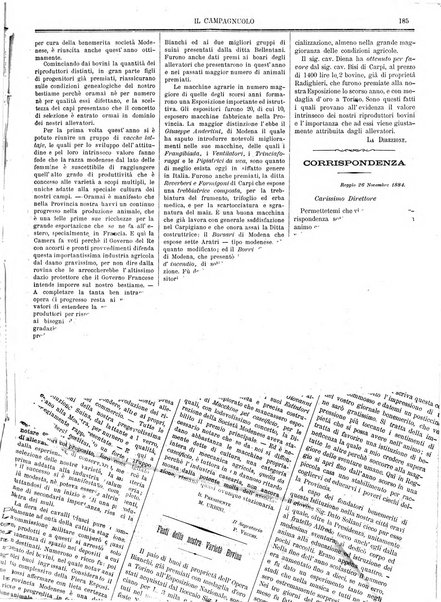 Il campagnuolo giornale di agricoltura pratica