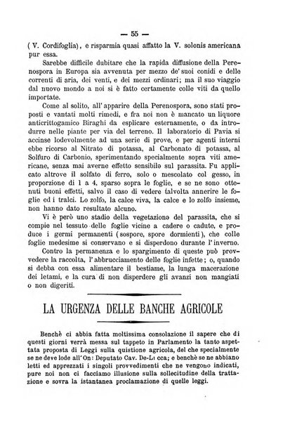 Il campagnuolo giornale di agricoltura pratica