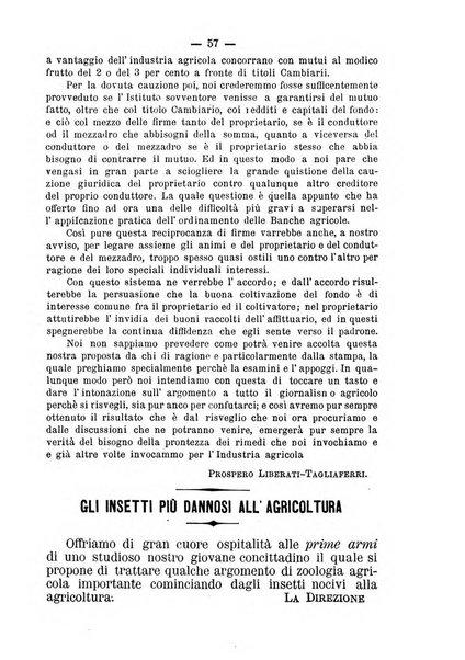 Il campagnuolo giornale di agricoltura pratica