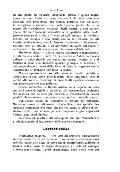 Il campagnuolo giornale di agricoltura pratica