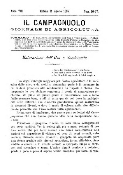 Il campagnuolo giornale di agricoltura pratica