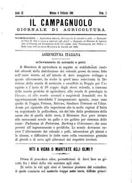 Il campagnuolo giornale di agricoltura pratica