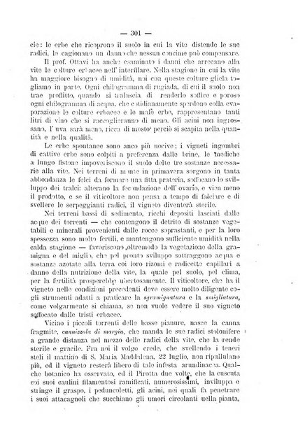 Il campagnuolo giornale di agricoltura pratica