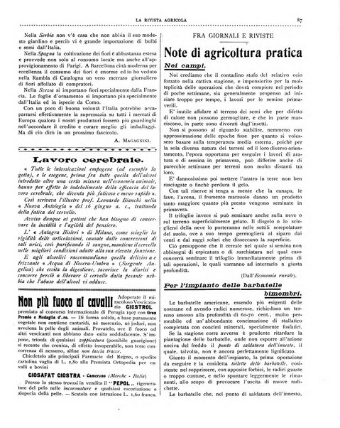 La rivista agricola industriale finanziaria commerciale