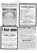 giornale/CFI0410531/1909/unico/00000343