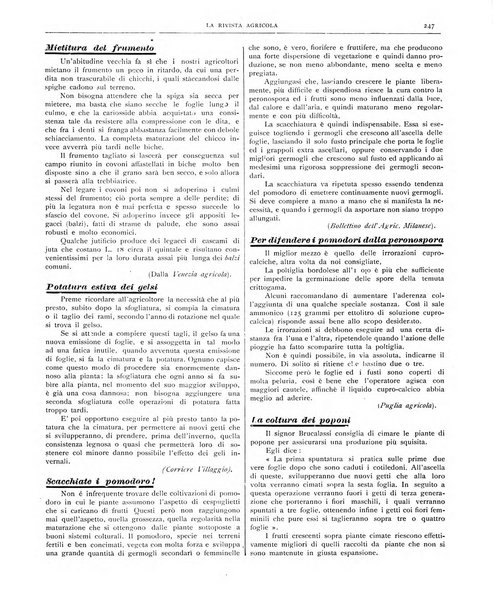 La rivista agricola industriale finanziaria commerciale