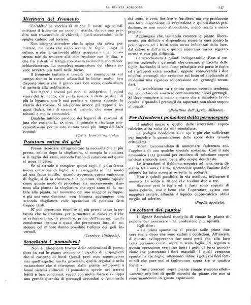 La rivista agricola industriale finanziaria commerciale