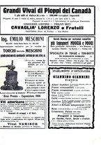 giornale/CFI0410531/1912/unico/00000031