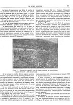 giornale/CFI0410531/1914/unico/00000303