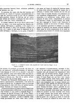 giornale/CFI0410531/1914/unico/00000305