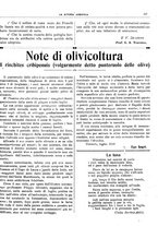 giornale/CFI0410531/1916/unico/00000323