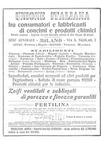 giornale/CFI0410531/1917/unico/00000174