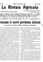 giornale/CFI0410531/1917/unico/00000335