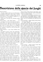 giornale/CFI0410531/1917/unico/00000339