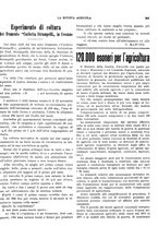 giornale/CFI0410531/1917/unico/00000341