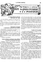 giornale/CFI0410531/1917/unico/00000383