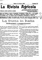 giornale/CFI0410531/1918/unico/00000239