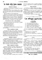 giornale/CFI0410531/1918/unico/00000274