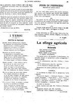 giornale/CFI0410531/1918/unico/00000493