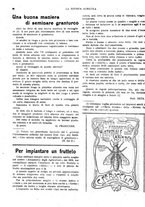 giornale/CFI0410531/1919/unico/00000036