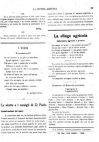 giornale/CFI0410531/1919/unico/00000291