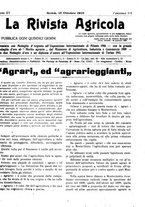 giornale/CFI0410531/1919/unico/00000343