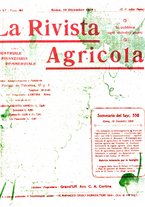 giornale/CFI0410531/1919/unico/00000421