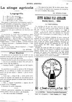 giornale/CFI0410531/1921/unico/00000301