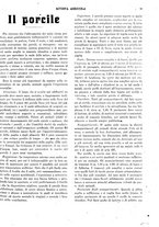 giornale/CFI0410531/1922/unico/00000085