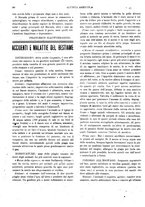giornale/CFI0410531/1922/unico/00000178