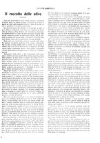 giornale/CFI0410531/1923/unico/00000293