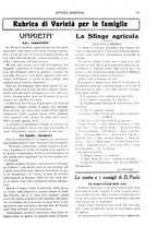 giornale/CFI0410531/1923/unico/00000379