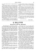 giornale/CFI0410531/1924/unico/00000037