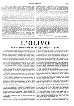 giornale/CFI0410531/1924/unico/00000159