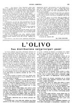 giornale/CFI0410531/1924/unico/00000171