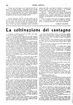 giornale/CFI0410531/1924/unico/00000256