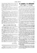 giornale/CFI0410531/1924/unico/00000397