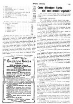 giornale/CFI0410531/1924/unico/00000517