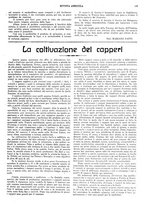 giornale/CFI0410531/1925/unico/00000157