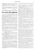 giornale/CFI0410531/1926/unico/00000019