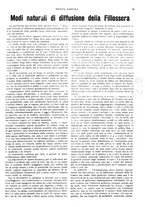 giornale/CFI0410531/1927/unico/00000053