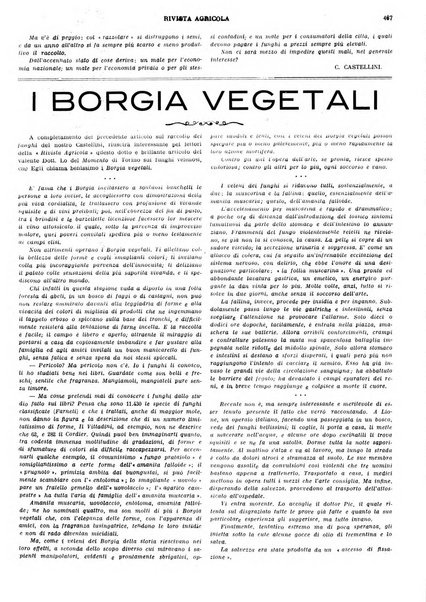 La rivista agricola industriale finanziaria commerciale