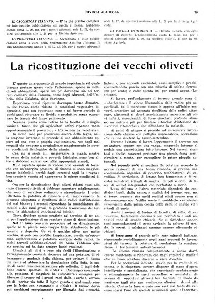 La rivista agricola industriale finanziaria commerciale