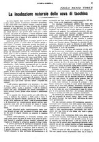 giornale/CFI0410531/1928/unico/00000067