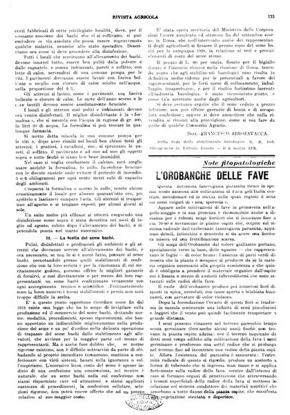 La rivista agricola industriale finanziaria commerciale